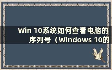 Win 10系统如何查看电脑的序列号（Windows 10的序列号在哪里查看）